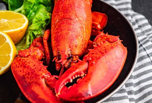 Cooked Red Lobster
