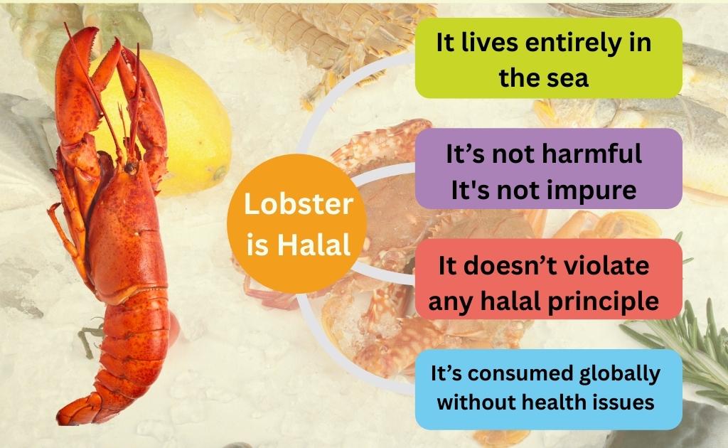 Lobster is halal and safe.
