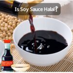 Soy Sauce in a ball- Is Sou Sauce Halal?