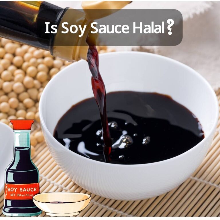 Soy Sauce in a ball- Is Sou Sauce Halal?