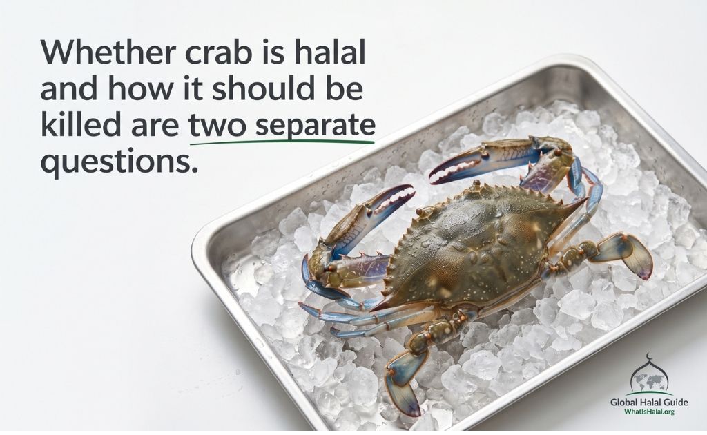 A crab in a Ice box