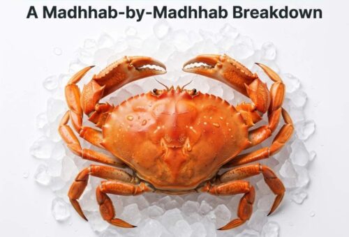 Is crab halal or haram? Post Feature Image